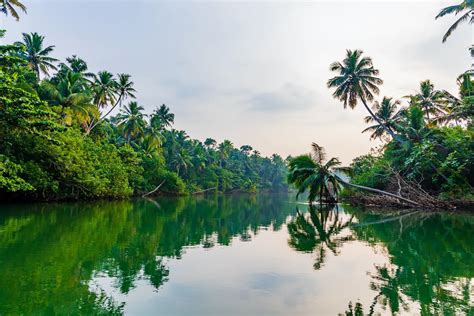 kerala